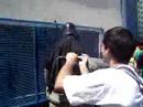 AnimABC mar�o 2007 Darth Vader - Fila