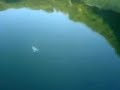 cliff jump cornish styley