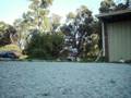 ridin vid_0003.wmv