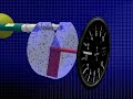 transition-to-gliders.html