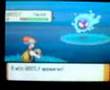 Shiny Gastly With Poke Radar