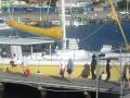 Basseterre-Harbour-P