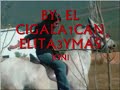 CANELITA NUEVA MAKETA LAS GITANAS BAILAN REGETON