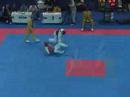 My Taekwondo My Taekwondo