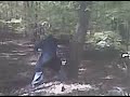 Man Puts Tree Out of Its Misery Part II