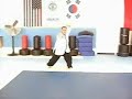 Hung Loong Kwoon Choy le fut essentials Hung Loong Kwoon Choy le fut essentials