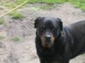 boy 1997-2009