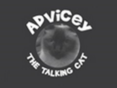 Advicey the Talking Cat