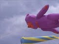 amazing kites
