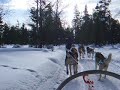Husky sledging in Kakslauttanen, Saariselk�, Finland