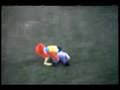 Classic San Diego Chicken KXLY TV