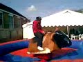 At david browns Kaylz on bull At david browns Kaylz on bull