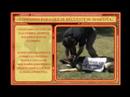 ENTRENAMIENTO CANINO