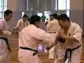 Takayuki Tsukakoshi Shinkyokushin Training.