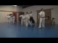 Aikido of San Diego's Children's Class