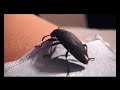 the first audio lotion video feature!