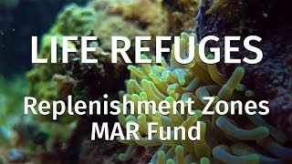 Live Refuges Replenishment Zones Part 3