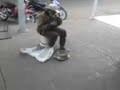 Tocando uma paulera em Ponta Por�