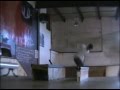 Stussy Sk8ing