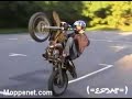 Moppe StUNts3 [Orginal]