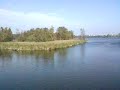 Amsterdamse Bos