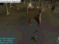 Runescape bronze fight