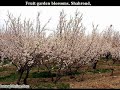 The Real Iran 6, Amazing Nature of Iran