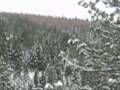 rattlesnake ski trip rattlesnake ski trip