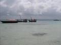 Zanzibar Meravigliosa Marzo 2008