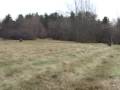 videos de cr125 mov
