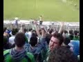 ckembari pit bul kur mu izvade na komiti