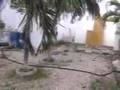 videos de Le Ion