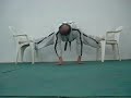 ESCUELA JUNGSHIN ARGENTINA FLEXIBILITY & TECHNIQUE PART 2