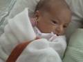 videos de Aidan and Ella Debut