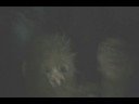 Psycho - Puddle of Mudd Music Video (Spartan Style)