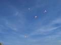 Mini-balloon-flashmo