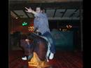 Moondiver!
