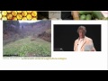 Click here to watch this video Triodos Bank - Fritz Wessling: 