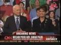 McCain's Brain #1: Checking Out Sarah Palin