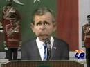 BUSH MUSH