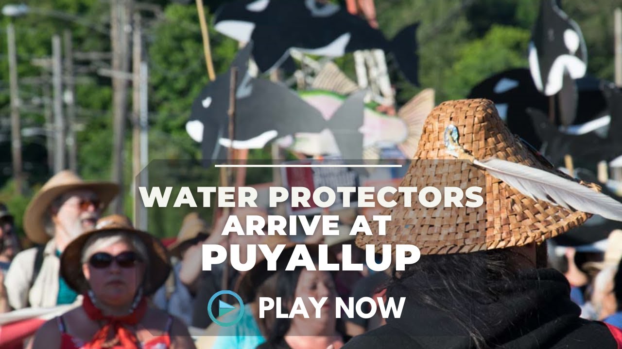 Spine Tingling Moment as Water Protectors are welcomed onto Puyallup territory.