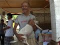 The Stray Dog Issue - WSPA