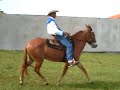 cavalos julio 2
