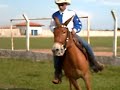 cavalos julio 2