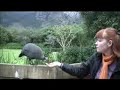 South Africa trip