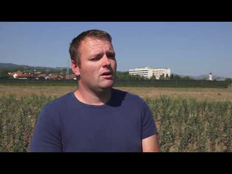 INSTITUT ZA VOĆARSTVO TRENUTNO SPOROVODI KALEMLJENJE VOĆNIH SADNICA
