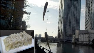 朝潮運河でハゼ釣り、逸品「ハゼの煮こごり」完成です!!