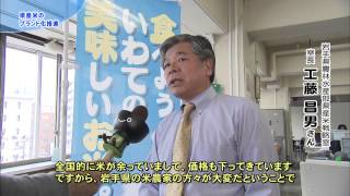 【第6回】県産米のブランド化推進～県産米新品種のデビューに向けて①～