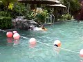 Sg. Klah sabotaj video 7