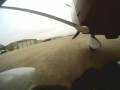 Below the Fog in a Cessna 182 at IRK